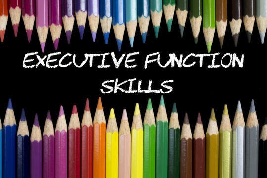 A close-up of colored pencils with the words “executive function skills” written in chalk in between them.